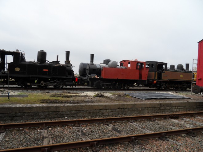 SDC10090.JPG