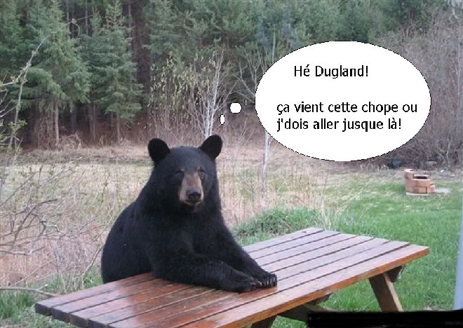 Client ours.jpg