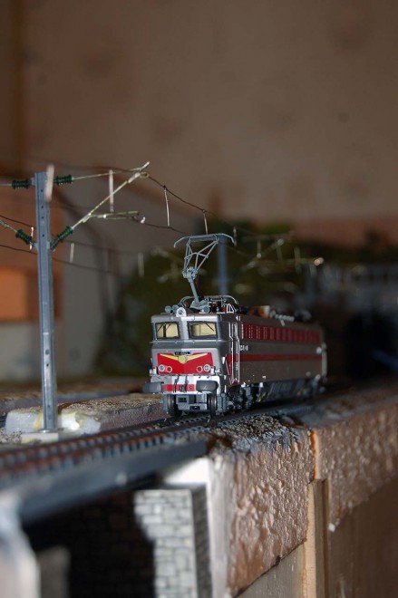 DSC_0149.JPG