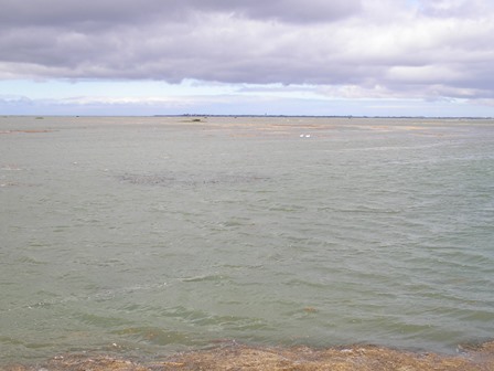 21 et 22 mars 2015 034.JPG
