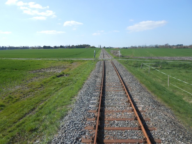DSCN2317.JPG