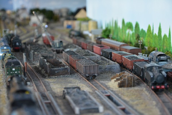 DSC_0373_3.jpg