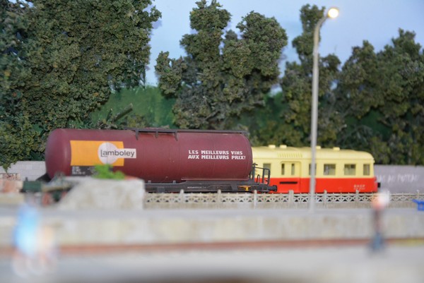 DSC_0384_3.jpg