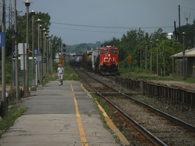 P6090255.jpg