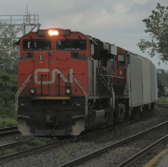 P6090275.jpg