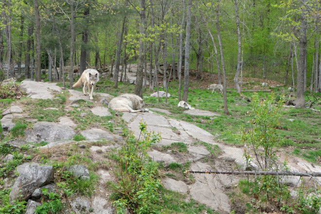 DSCF0886.JPG