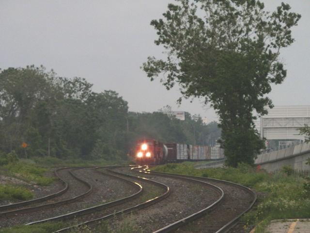 P6110286.jpg