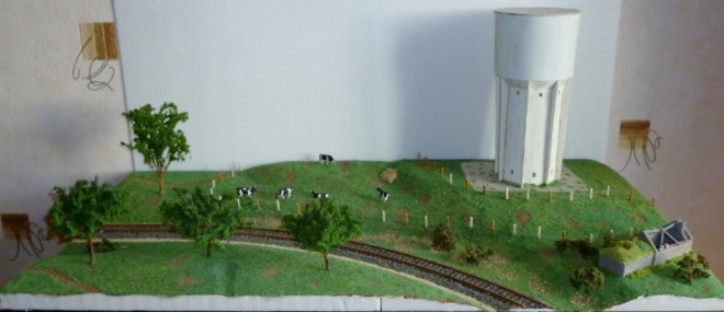 P1040467 (1280x580) (800x346).jpg