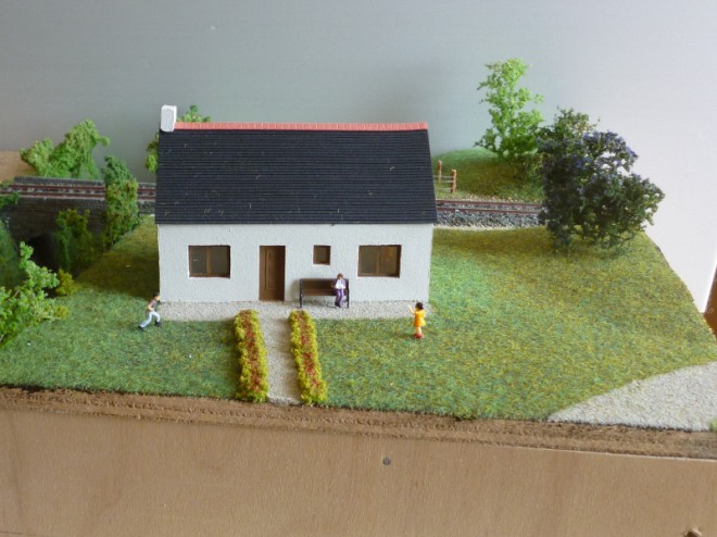 P1050107 (800x599).jpg