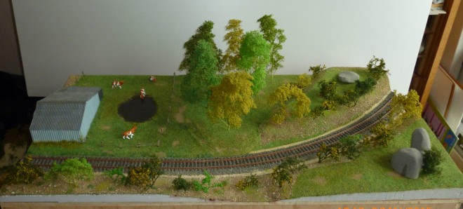 P1050193 (1280x577).jpg