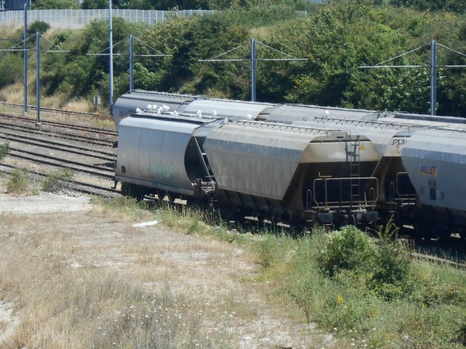 DSCN3033.JPG