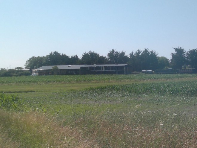 2015-06-30-3297s.jpg