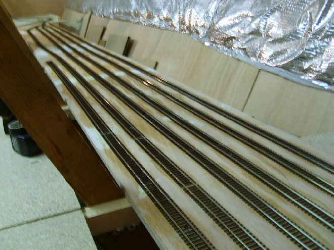 S6001985.JPG