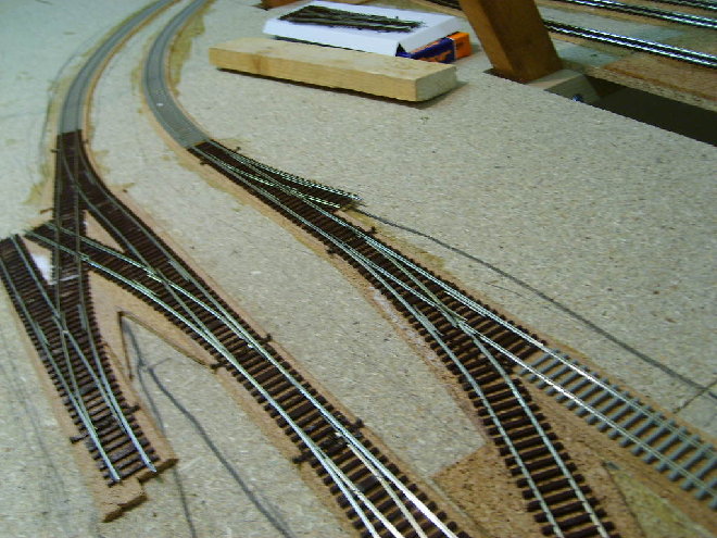S6001979.JPG