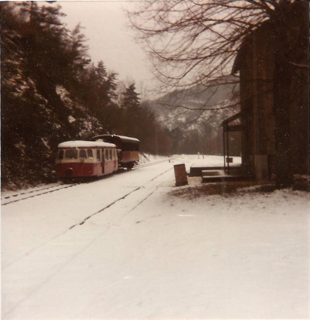 photo1.jpg