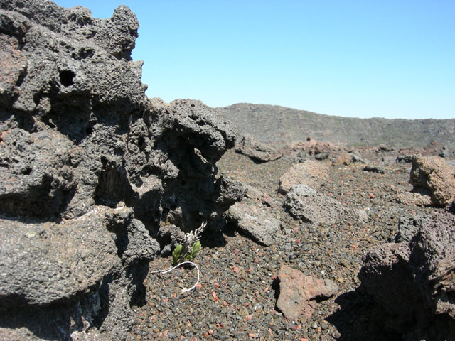 DSCN1549.jpg