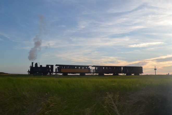 DSC_0477.JPG