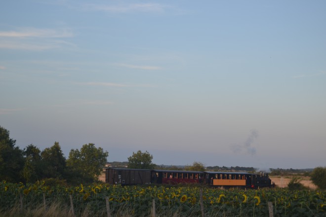 DSC_0487.JPG