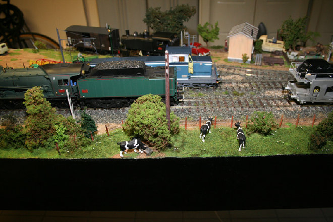 IMG_4899.JPG