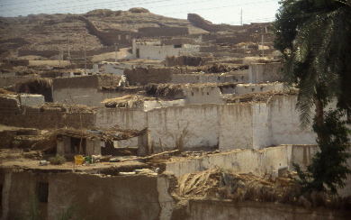 File0188-s.jpg