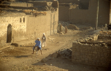 File0174-s.jpg