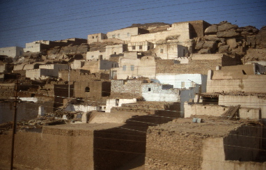File0256-s.jpg