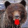 nounours.jpg