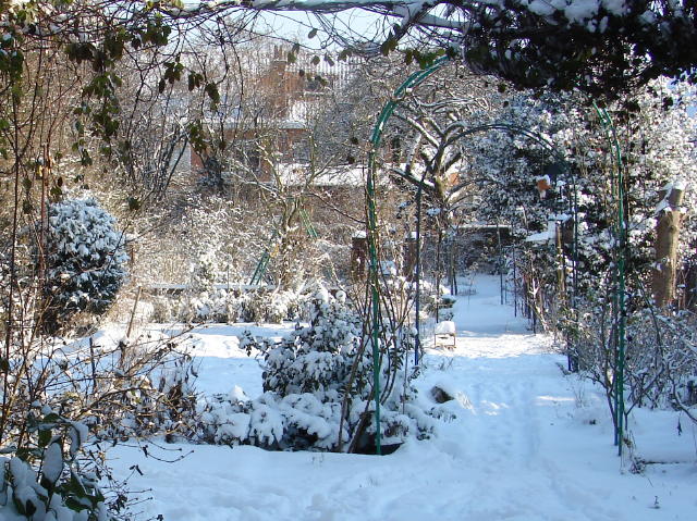neige2009.jpg