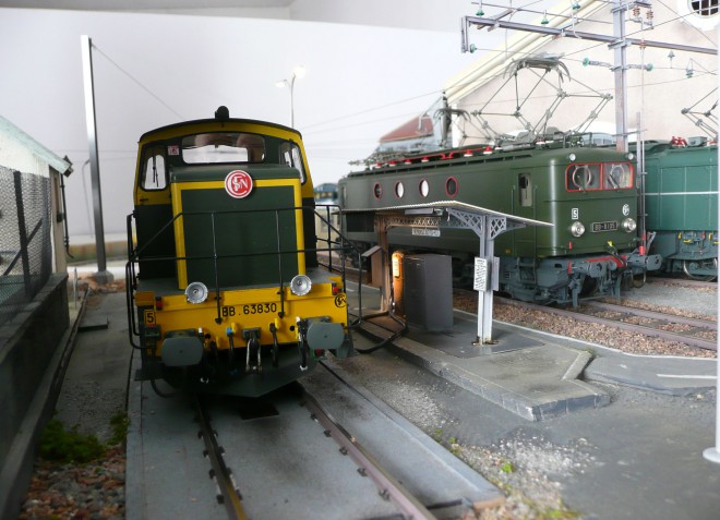 P1020221-1.jpg