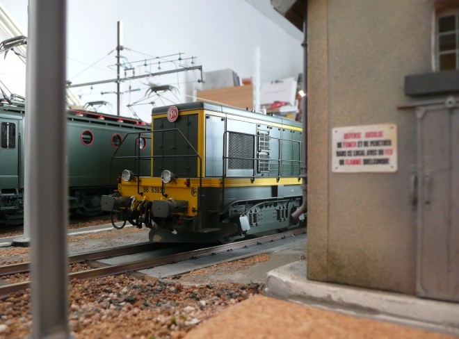 P1020235-1.jpg