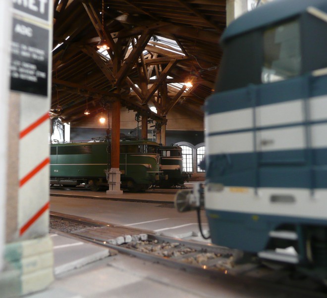 P1020230-1.jpg