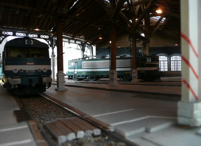 P1020245-1.jpg