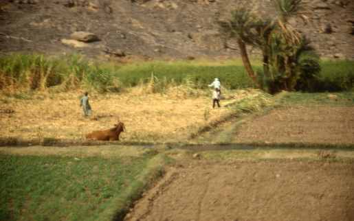 File0253-33.jpg