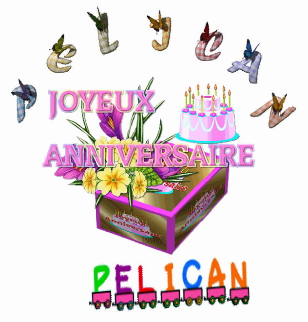 pelican 2.jpg