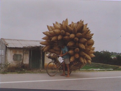 velos-hanoi.jpg
