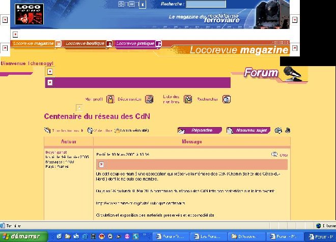 vieux_forum.JPG