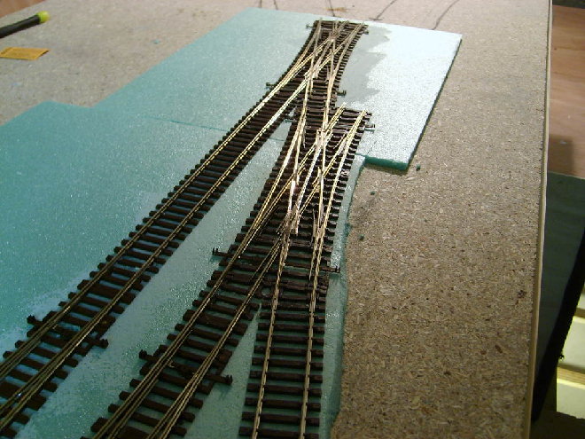 S6002144.JPG