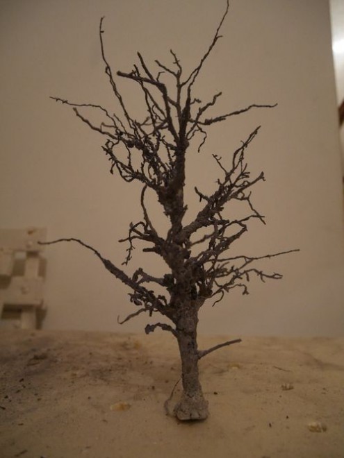 P1000351 réduit.jpg