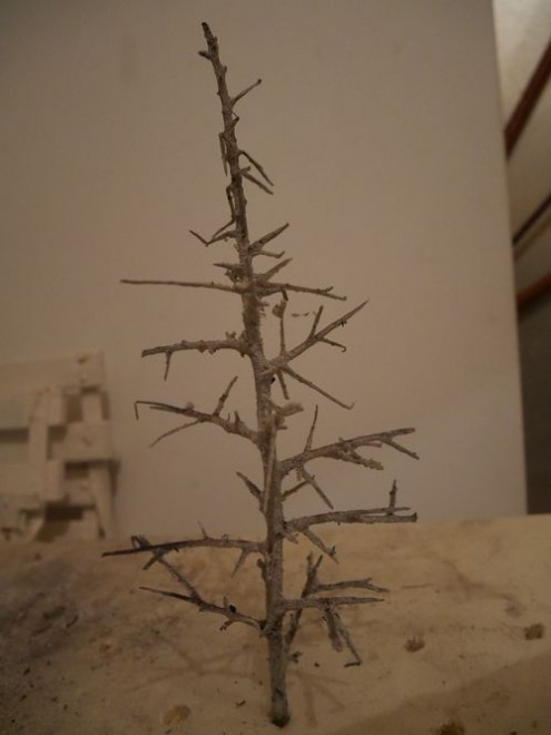 P1000354 réduit.jpg