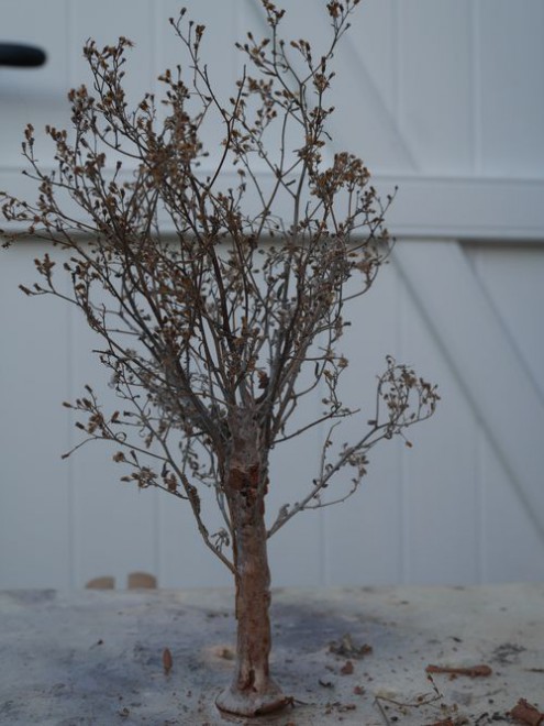 P1000463 réduit.jpg