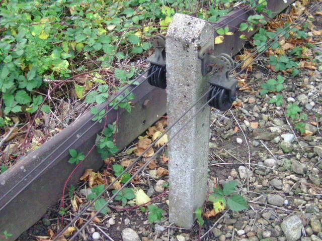 BILD1422.JPG