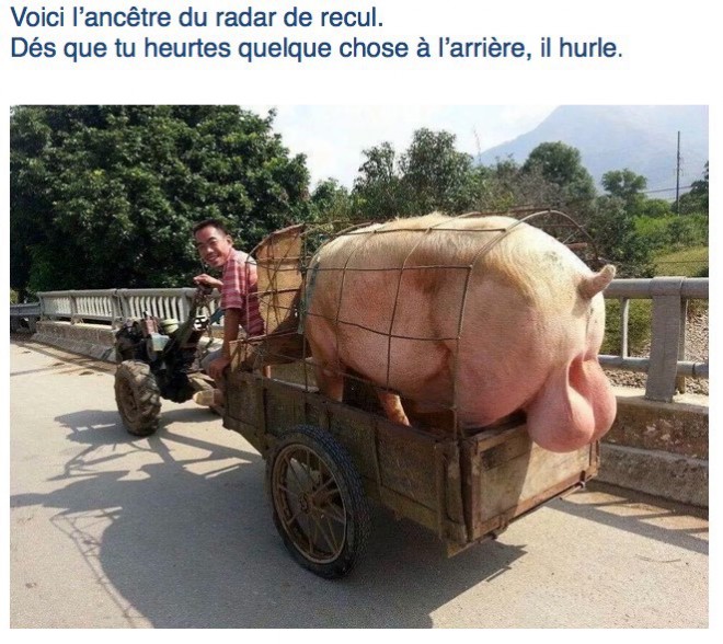 radar de recul (2).jpg