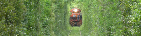 DSCN2428.jpg