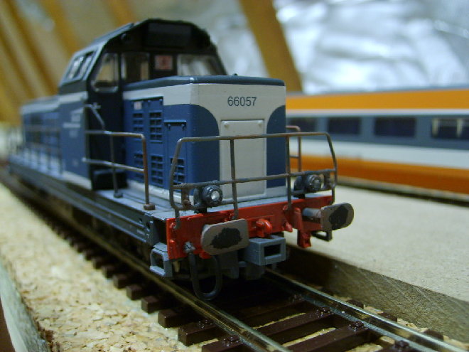 S6002203.JPG