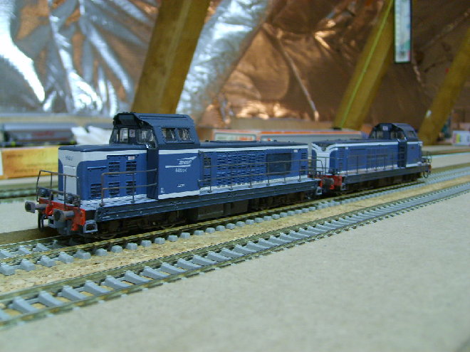 S6002214.JPG