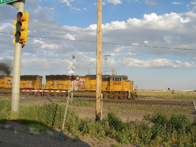 P7110130.JPG