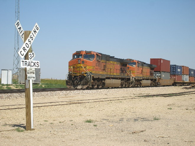 P7110149.JPG