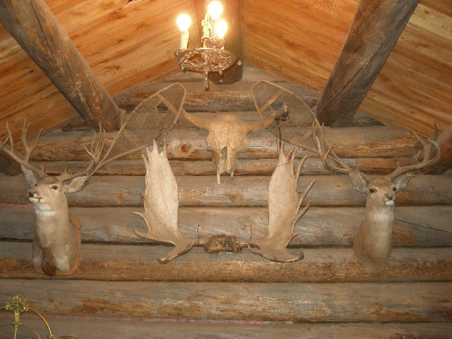 P7120170.JPG