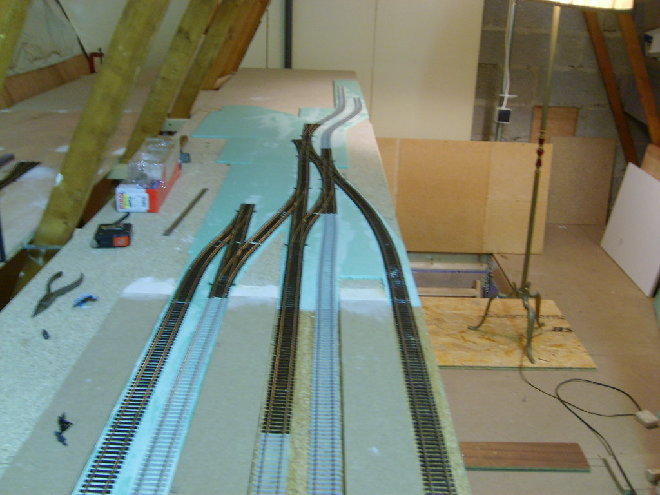 S6002222.JPG