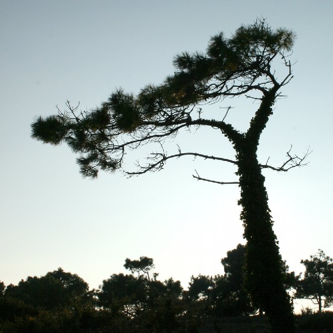 quiberon.jpg